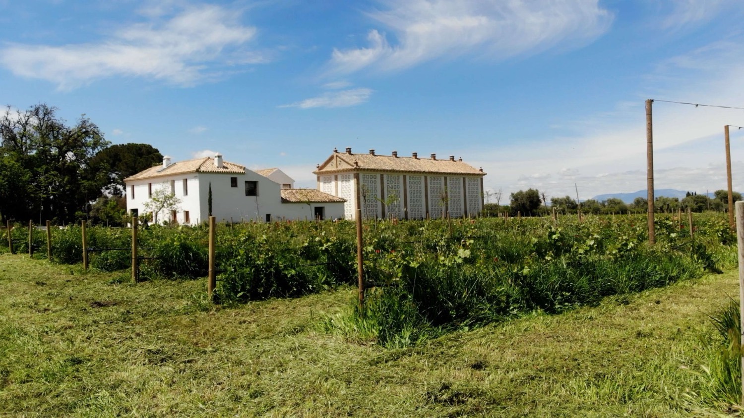El Cortijo de la Seda y su entorno, entre viñedos y cielo abierto